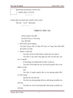 Tìm hiểu công ty khí cà mau (PV gas) và trung tâm phân phối khí (GDC) cà mau