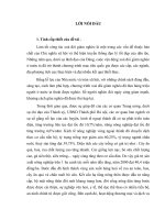 thực trạng và những giải pháp chủ yếu nhằm xoá đói giảm nghèo ở một số xã đặc biệt khó khăn huyện sóc sơn thành phố hà nội