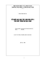 tổ chức dạy học tập làm văn lớp 5 phù hợp trình độ học sinh