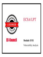 LPTv4  module 17 vulnerability analysis