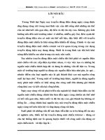 nghiên cứu, thiếc kế hệ truyền động một chiều tiristor – động cơ cho hệ thống dịch cực lò quang l