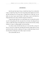 hoạt động quản lý và công tác kế toán nguyên vật liệu, công cụ dụng cụ tại công ty cổ phần may hưng yên