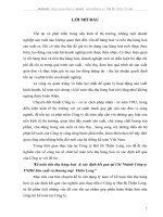 kế toán tiêu thụ hàng hoá & xác định kết quả tại chi nhánh công ty tnhh sản xuất và thương