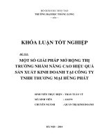 một số giải pháp mở rộng thị trường nhằm nâng cao hiệu quả sản xuất kinh doanh tại công ty tnhh thương mại hùng phát
