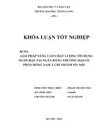 iải pháp nâng cao chất lượng tín dụng ngắn hạn tại ngân hàng thương mại cổ phần nam á chi nhánh hà nội