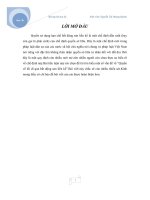 Bài tập lớn học kì modul 1 luật dân sự