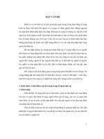 Đề tài hỏi cung trong tố tụng hình sự