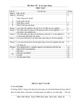 skkn hệ thức vi - ét và ứng dụng