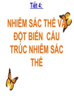 sinh học 12 - bài 5. nhiễm sắc thể và đột biến cấu trúc nhiễm sắc thể. .
