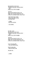 một số giải pháp nâng cao hiệu quả sử dụng đòn bẩy tại công ty cổ phần h-pec việt nam