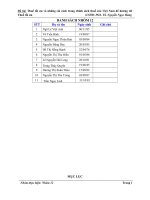 tiểu luận cải cách thuế để tối ưu