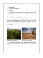 tiểu luận biến đổi khí hậu - luận văn, đồ án, đề tài tốt nghiệp