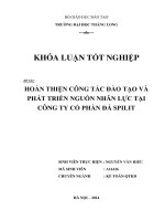 hoàn thiện công tác đào tạo và phát triển nguồn nhân lực tại công ty cổ phần đá spilit