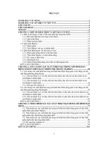 ước lượng và tính xác suất thiệt hại trong một số mô hình bảo hiểm