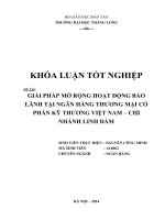 giải pháp mở rộng hoạt động bảo lãnh tại ngân hàng thương mại cổ phần kỹ thương việt nam - chi nhánh linh đàm