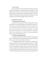 Tiểu luận Các hình thức hoạt động của chính phủ Việt Nam theo pháp luật hiện hành