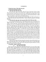 Bài tập lớn tố tụng hình sự về tạm giam