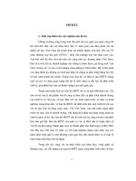 Nội dung cơ bản của pháp luật Việt Nam và pháp luật hoa kỳ về bảo hộ nhãn hiệu hàng hóa