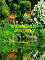 thuyết trinh sinh học - mối quan hệ giữa gen và tính trạng