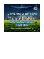 báo cáo khu công nghiệp sinh thái - luận văn, đồ án, đề tài tốt nghiệp
