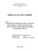 giải pháp hạn chế rủi ro cho vay đối với khách hàng cá nhân tại ngân hàng nông nghiệp và phát triển nông thôn chi nhánh láng hạ