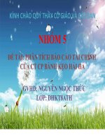 phân tích báo cáo tài chính của ct cp bánh kẹo hải hà