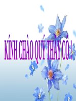 thuyết trinh sinh hoc -quy luật menđen quy luật phân li độc lập