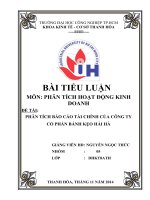 đánh giá hiệu quả kinh doanh của công ty cổ phần bánh kẹo hải hà