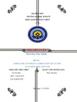 đề tài chiến lược sản phẩm và chiến lược giá cả cho xuất khẩu điều việt nam