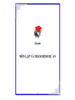 thiết lập và thẩm định dự án kinh doanh sân bóng đá mini