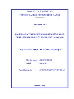 đánh giá và tuyển chọn giống lúa năng suất, chất lượng cho huyện bắc quang, hà giang