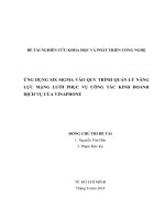 ỨNG DỤNG SIX SIGMA VÀO QUY TRÌNH QUẢN LÝ NĂNG LỰC MẠNG LƯỚI PHỤC VỤ CÔNG TÁC KINH DOANH DỊCH VỤ CỦA VINAPHONE