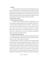 Một số giải pháp về hoàn thiện các hình thức hoạt động của chính phủ Việt Nam theo pháp luật hiện hành