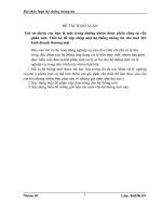 giả sử nhóm của bạn là một trong những nhóm được phân công tư vấn phân tích. thết kế để cập nhập một hệ thống thông tin cho một dn kinh doanh thương mại