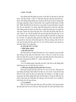 Mối quan hệ giữa đại biểu quốc hội với cử tri theo pháp luật hiện hành