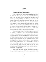 Nội dung cơ bản của pháp luật việt nam và pháp luật hoa kỳ về bảo hộ nhãn hiệu hàng hóa