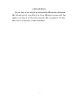 báo cáo khoa học nghiên cứu khẳ năng sản xuất dầu nhiên liệu từ biomass bằng phương pháp nhiệt phân