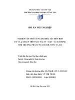 Nghiên cứu phản ứng oxi hóa sâu hỗn hợp CO và p xylen trên xúc tác pt cuo cr2o3 trong môi trường phản ứng có hơi nước và SO2