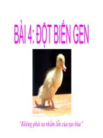 sinh học 12  bài 4. đột biến gen