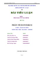 bài tiểu luận phân tích đầu tư tài chính - phân tích interco