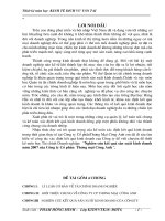 nghiên cứu kết quả sản xuất kinh doanh năm 2007 của công ty cổ phàn  thương mại cường anh