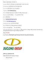 Tiểu luận môn Quản trị Tài chính PHÂN TÍCH TÀI CHÍNH CÔNG TY CỔ PHẦN TẬP ĐOÀN ĐỨC LONG GIA LAI.