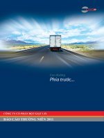 công ty cổ phần bột giặt lix báo cáo thường niên 2011