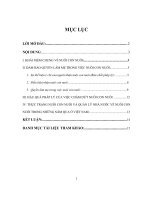 Tiểu luận Đảm bảo quyền làm mẹ trong việc nuôi con nuôi