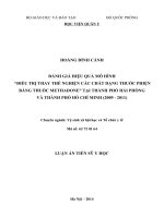 ĐÁNH GIÁ HIỆU QUẢ MÔ HÌNH  ĐIỀU TRỊ THAY THẾ NGHIỆN CÁC CHẤT DẠNG THUỐC PHIỆN BẰNG THUỐC METHADONE TẠI THÀNH PHỐ HẢI PHÒNG  VÀ THÀNH PHỐ HỒ CHÍ MINH (2009  2011)