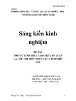 một số biện pháp , hình thức cho trẻ làm quen và học tốt môn nbtn ở lứa tuổi nhà trẻ