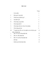 phân tích các chức năng cơ bản của gia đình ý nghĩa thực tiễn của việc nghiên cứu xã hội học gia đình đối với lĩnh vực pháp luật