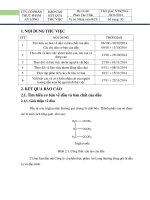 Công ty cổ phần thực phẩm An Long. Báo cáo kết quả thử việc