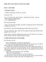 phân tích môi trường bên ngoài của công ty việt tiến