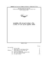 nghiên cứu hoạt động của công ty du lịch quảng ninh